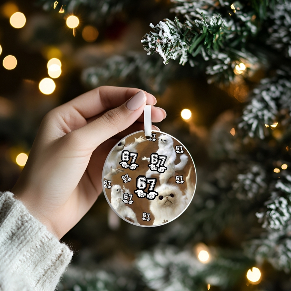 6-7 Christmas Ornament. Ceramic Confused Cat Saying 6-7.  2.9 In